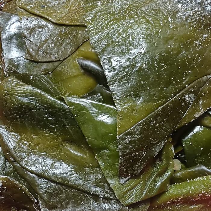 Alga Kun Bu (Laminaria)