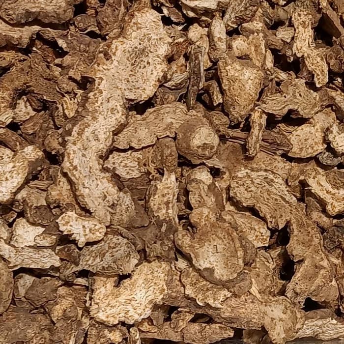 Atractylodes negra