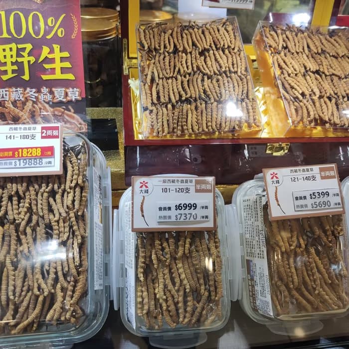 Cordyceps