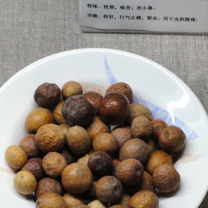 Fruto de Melia toosendan