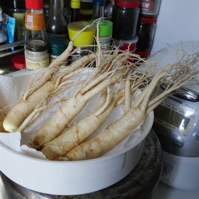 Ginseng