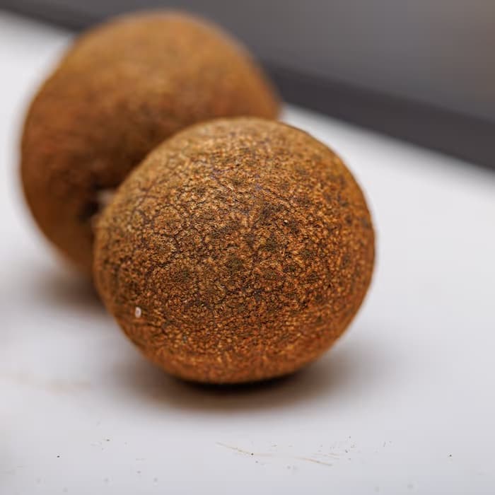 Longan