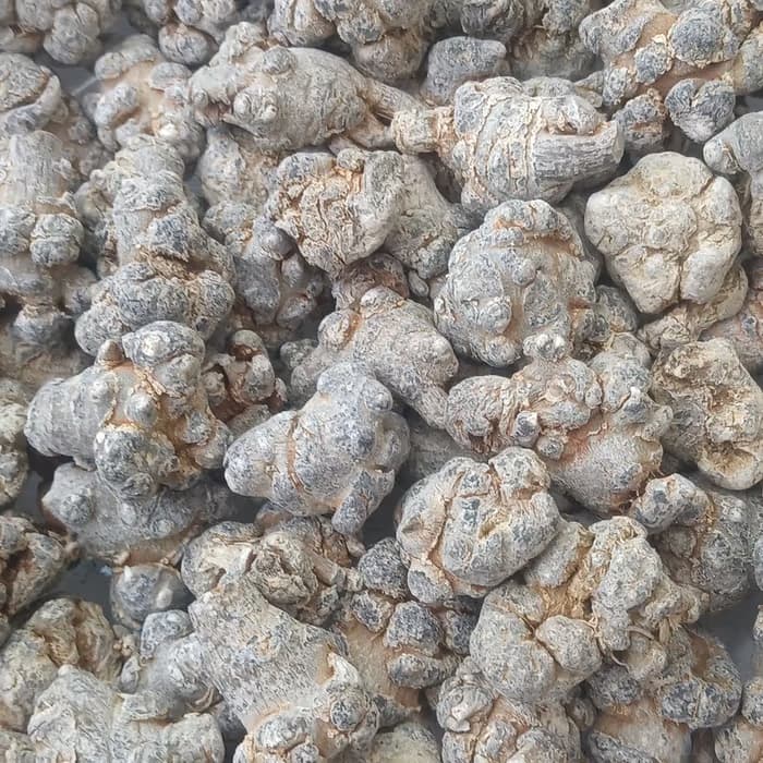 Notoginseng (tienchi)