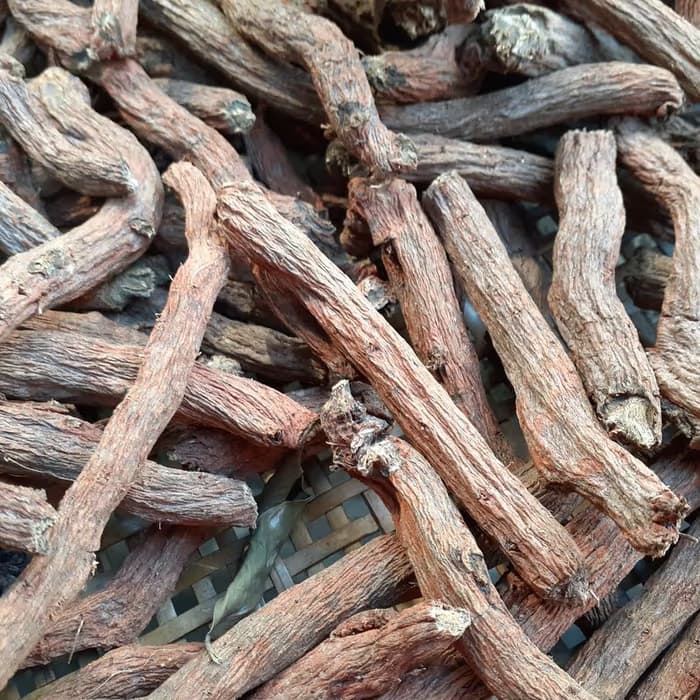 Rizoma de gastrodia