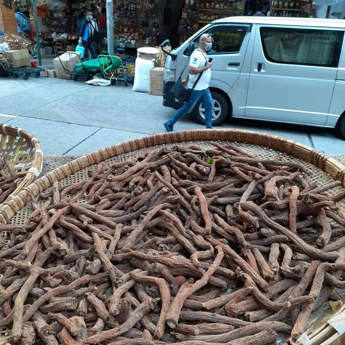 Rizoma de gastrodia