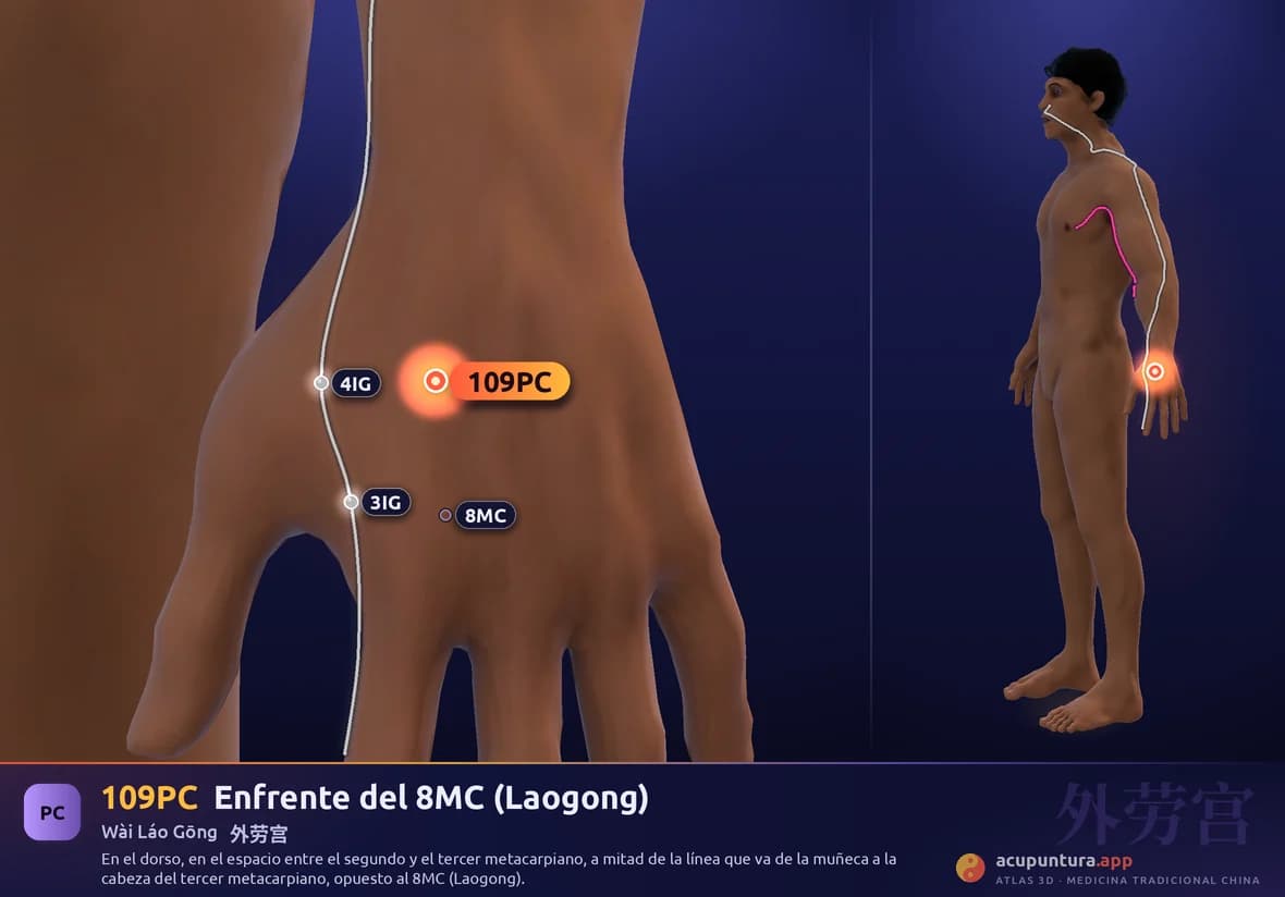 Localización del punto 109PC, Enfrente del 8MC (Laogong)