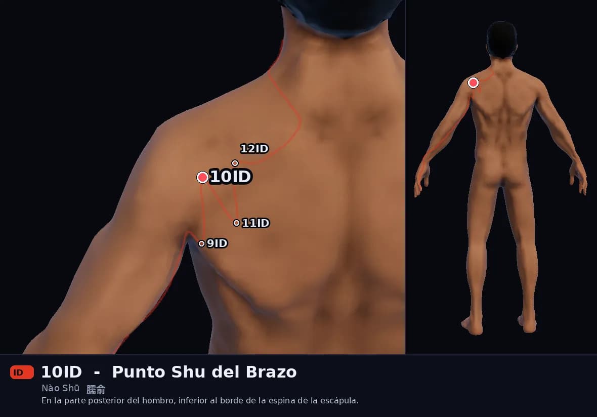 Localización del punto 10ID, Punto Shu del Brazo