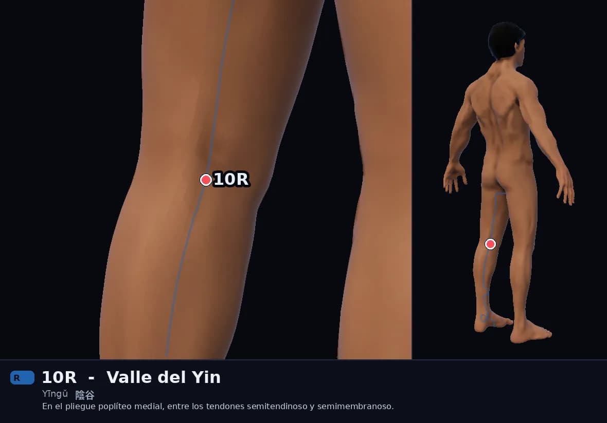 Localización del punto 10R, Valle del Yin