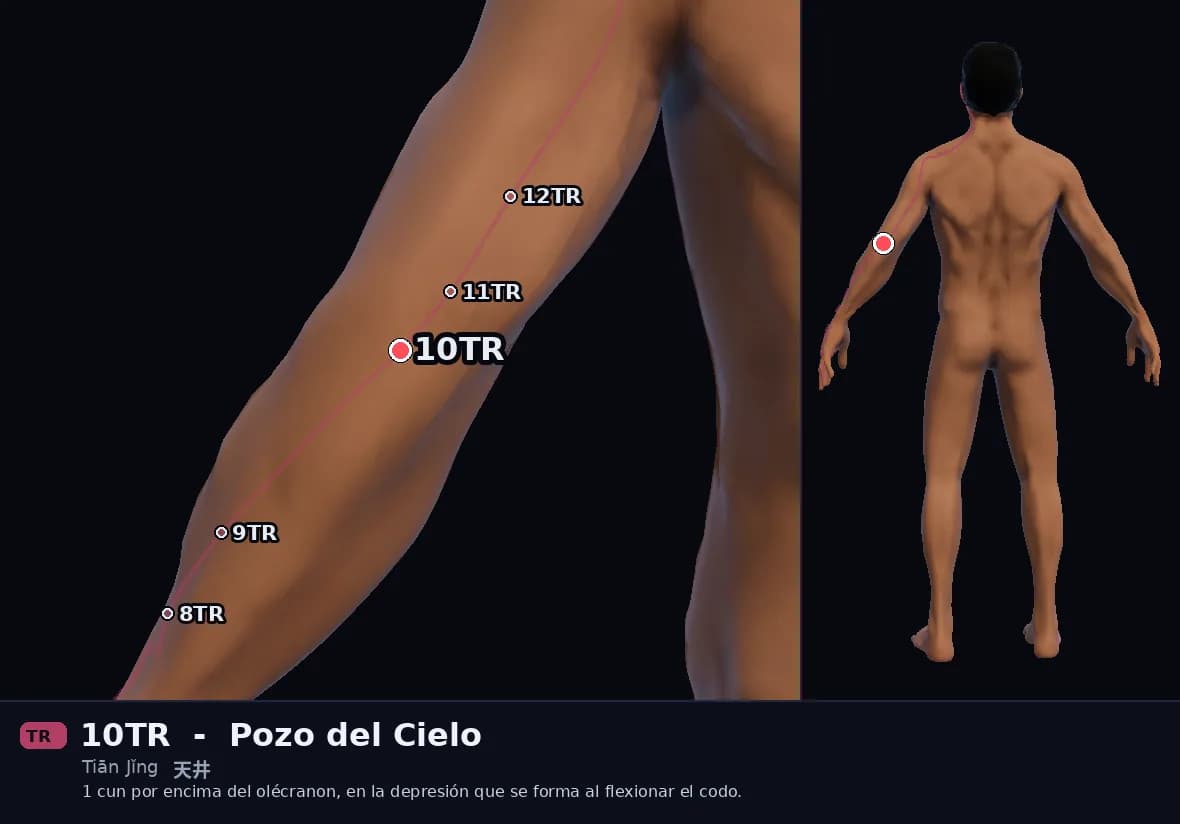 Localización del punto 10TR, Pozo del Cielo