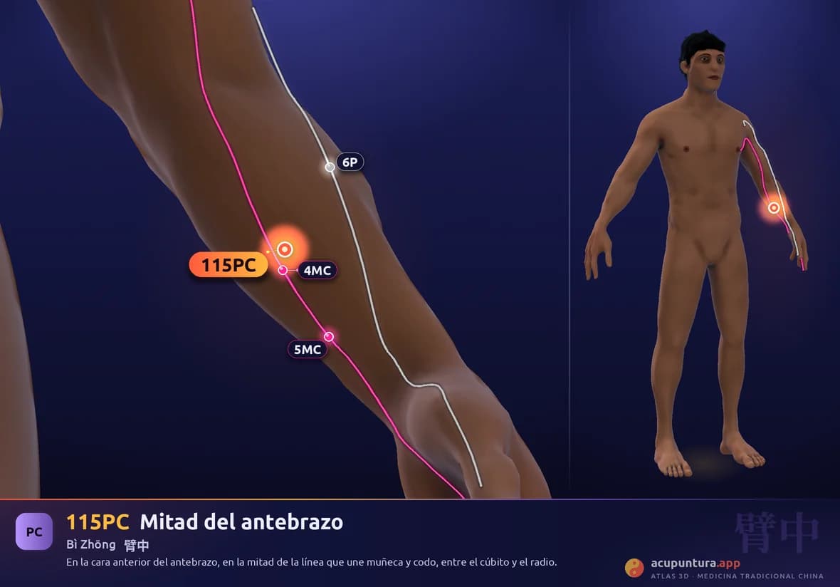 Localización del punto 115PC, Mitad del antebrazo