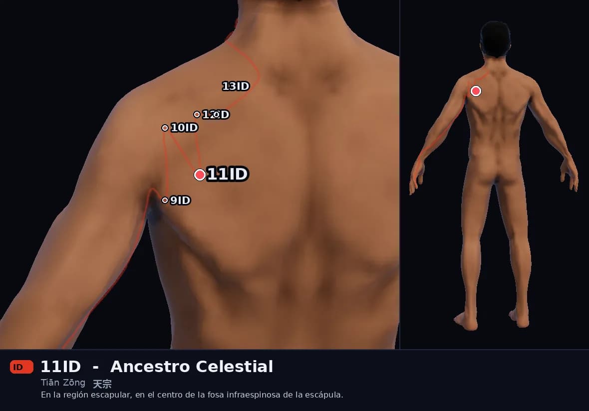 Localización del punto 11ID, Ancestro Celestial