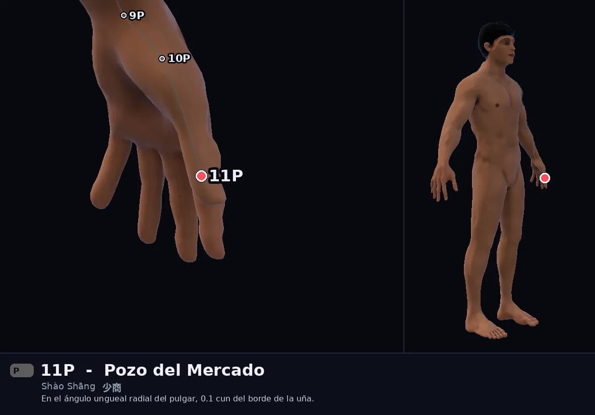 Localización del punto 11P, Comerciante Menor