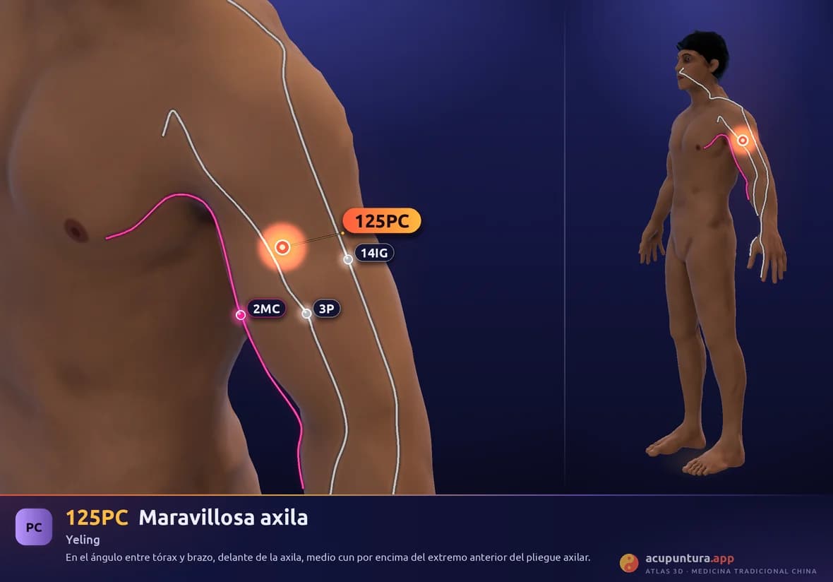 Localización del punto 125PC, Maravillosa axila