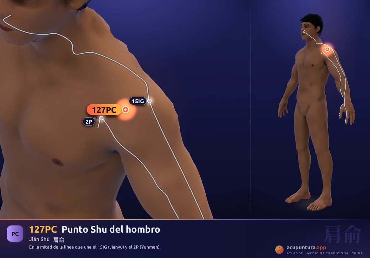 Localización del punto 127PC, Punto Shu del hombro
