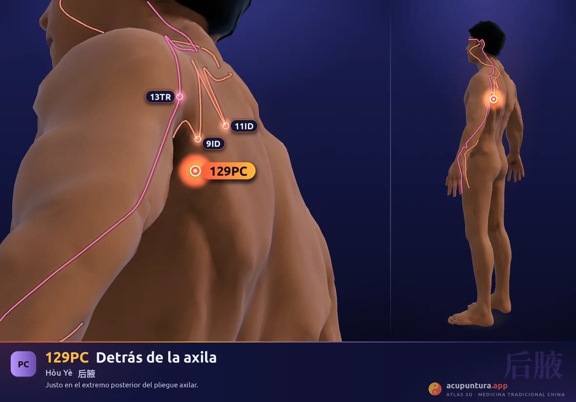 Localización del punto 129PC, Detrás de la axila