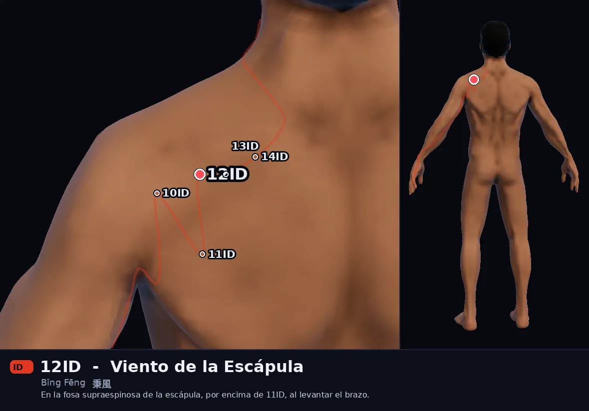 Localización del punto 12ID, Viento de la Escápula