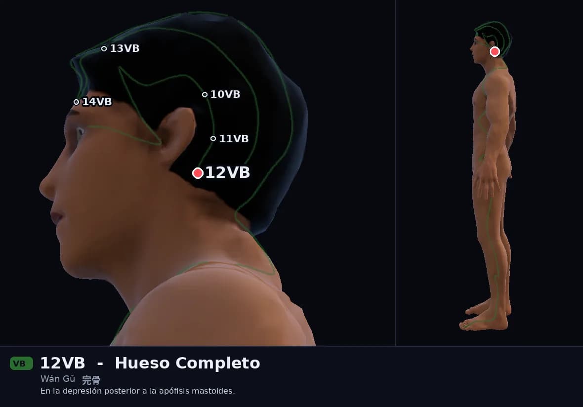 Localización del punto 12VB, Hueso Completo