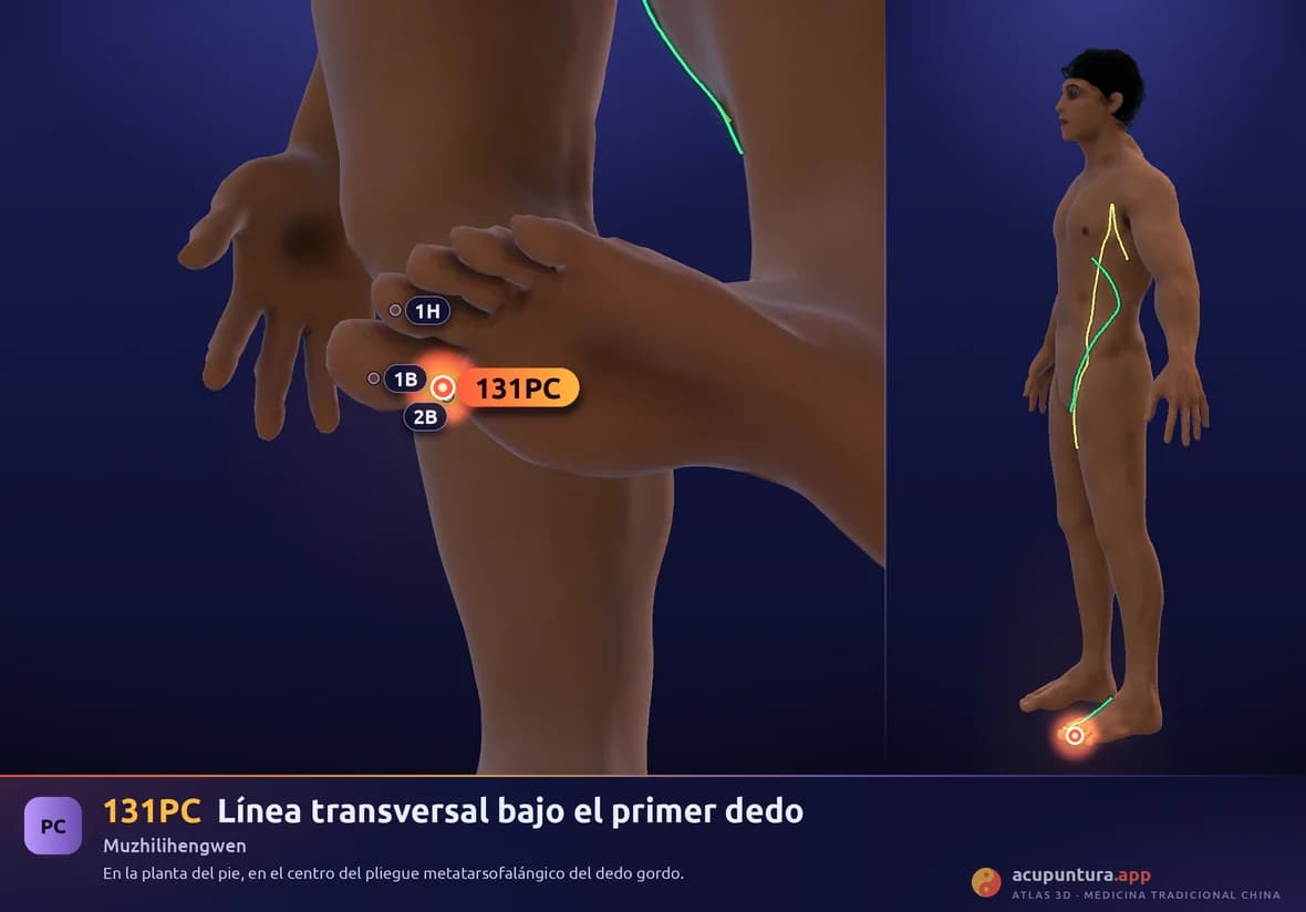 Localización del punto 131PC, Línea transversal bajo el primer dedo