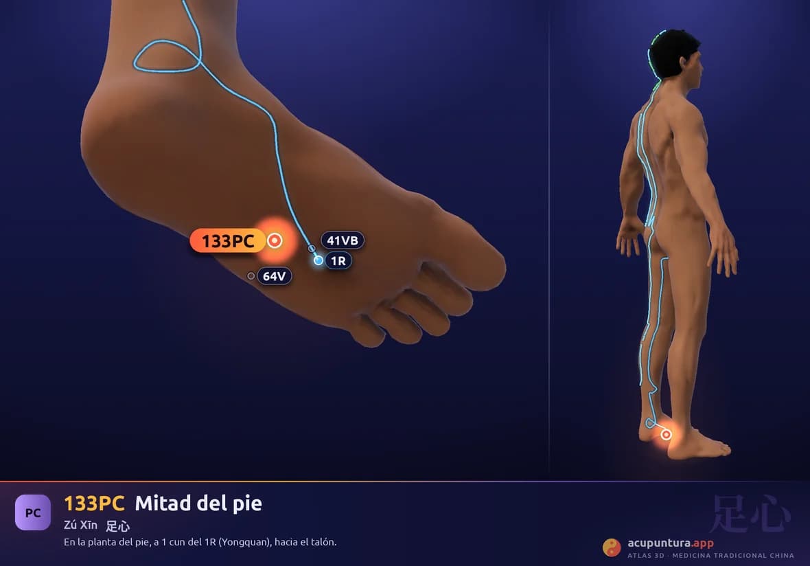 Localización del punto 133PC, Mitad del pie