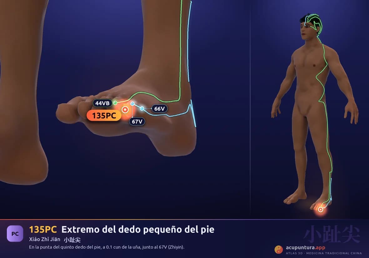 Localización del punto 135PC, Extremo del dedo pequeño del pie