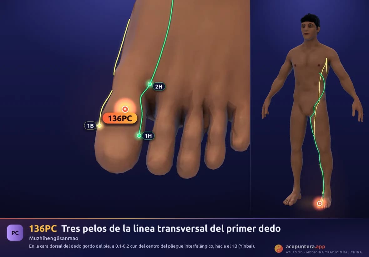 Localización del punto 136PC, Tres pelos de la línea transversal del primer dedo