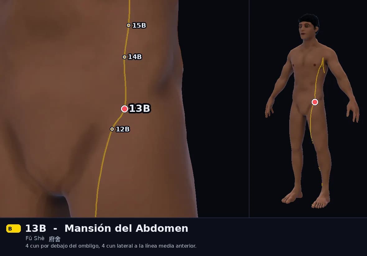 Localización del punto 13B, Mansión del Abdomen