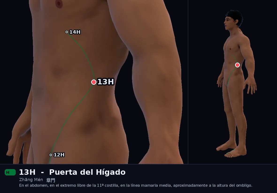 Localización del punto 13H, Puerta del Hígado