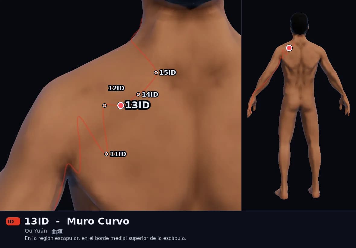 Localización del punto 13ID, Muro Curvo