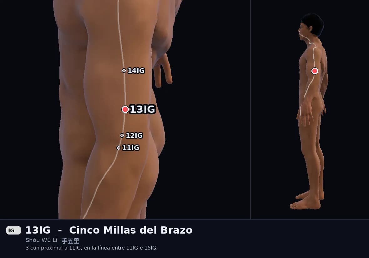 Localización del punto 13IG, Cinco Millas del Brazo
