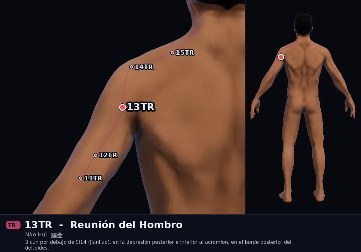 Localización del punto 13TR, Reunión del Brazo