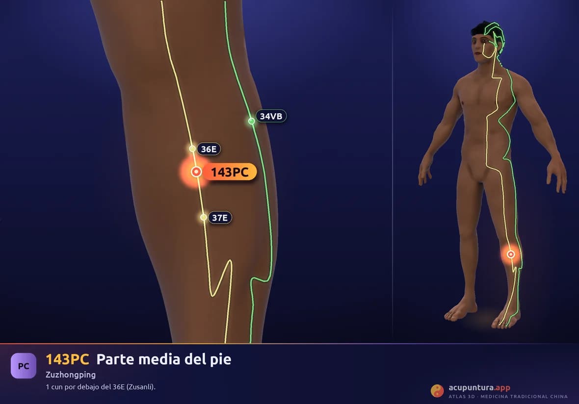 Localización del punto 143PC, Parte media del pie