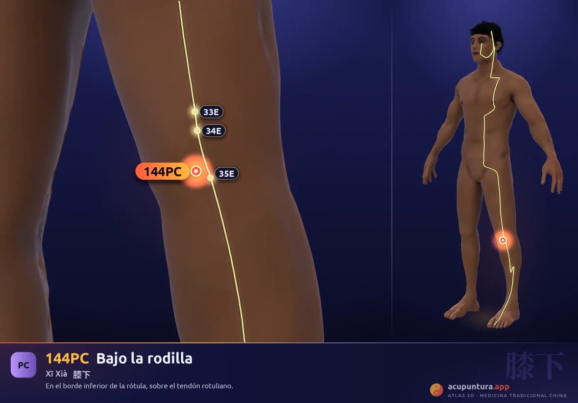 Localización del punto 144PC, Bajo la rodilla