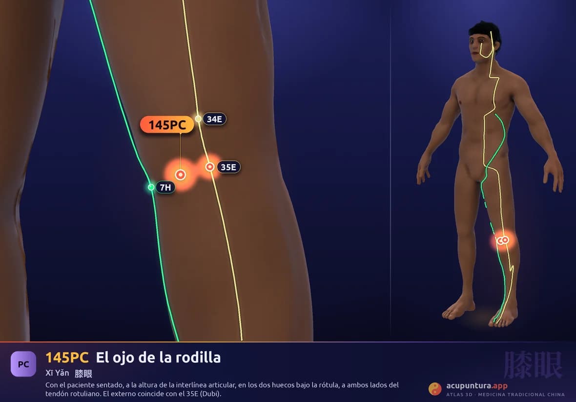 Localización del punto 145PC, El ojo de la rodilla