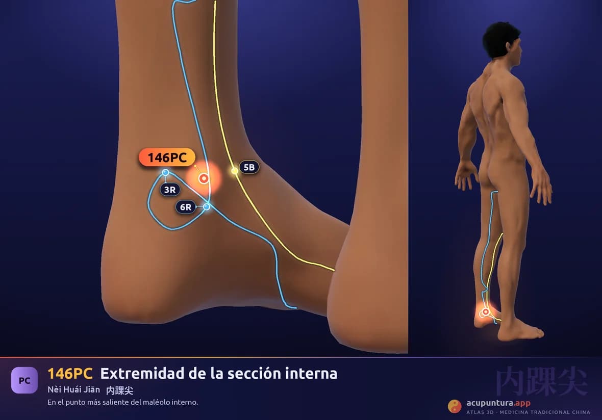 Localización del punto 146PC, Extremidad de la sección interna