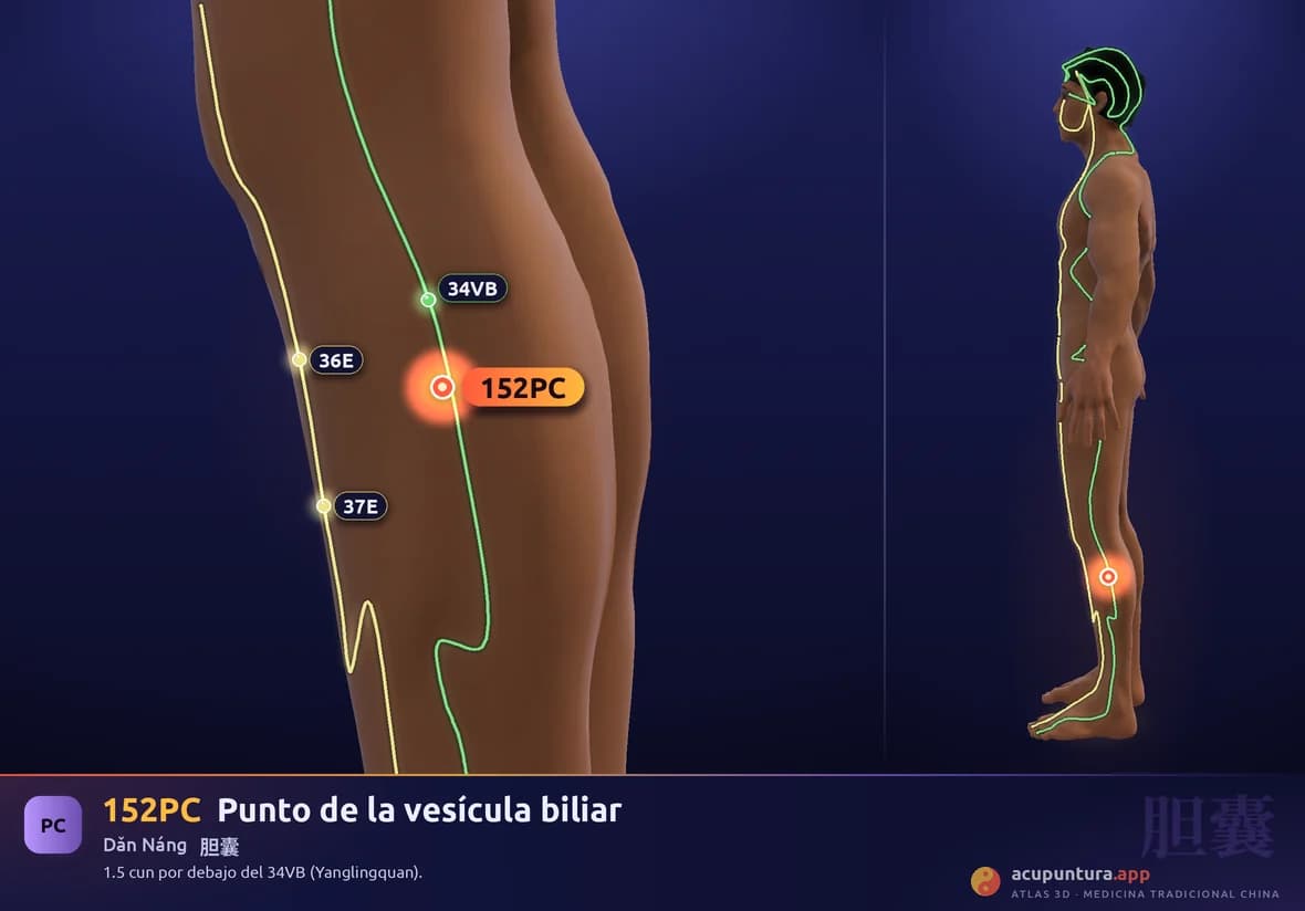 Localización del punto 152PC, Punto de la vesícula biliar