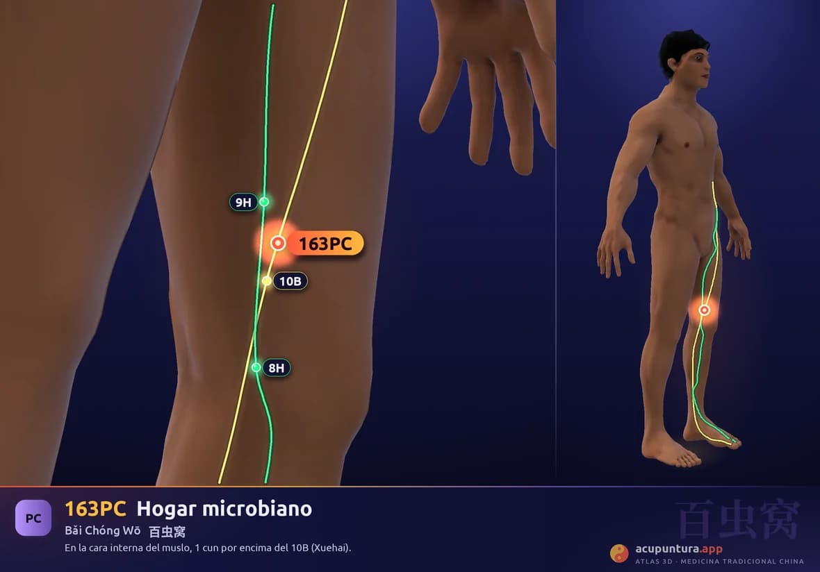 Localización del punto 163PC, Hogar microbiano