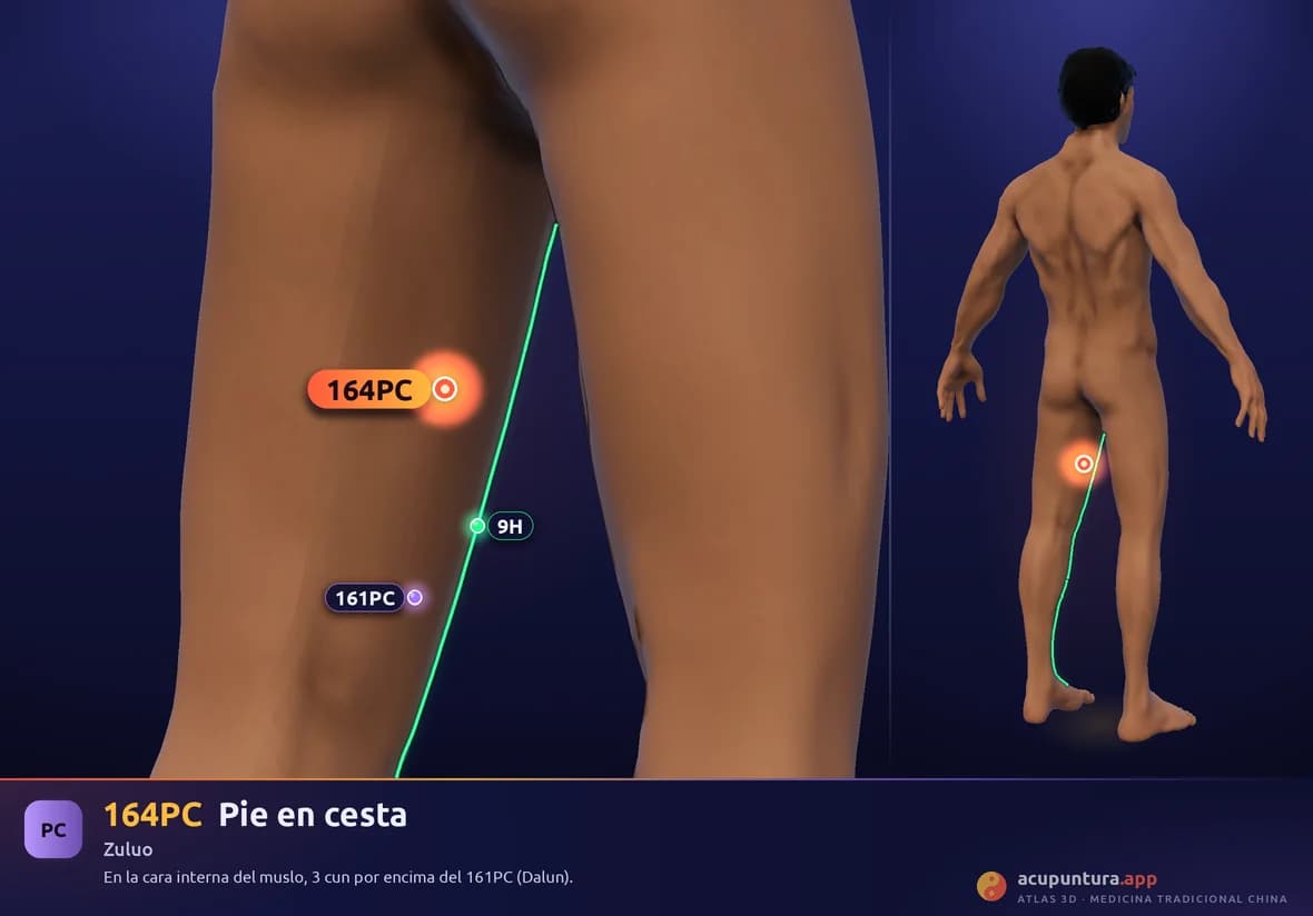 Localización del punto 164PC, Pie en cesta