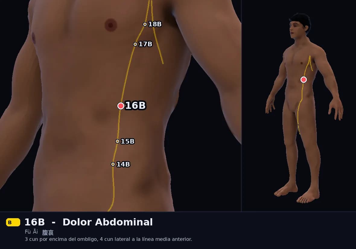 Localización del punto 16B, Dolor Abdominal