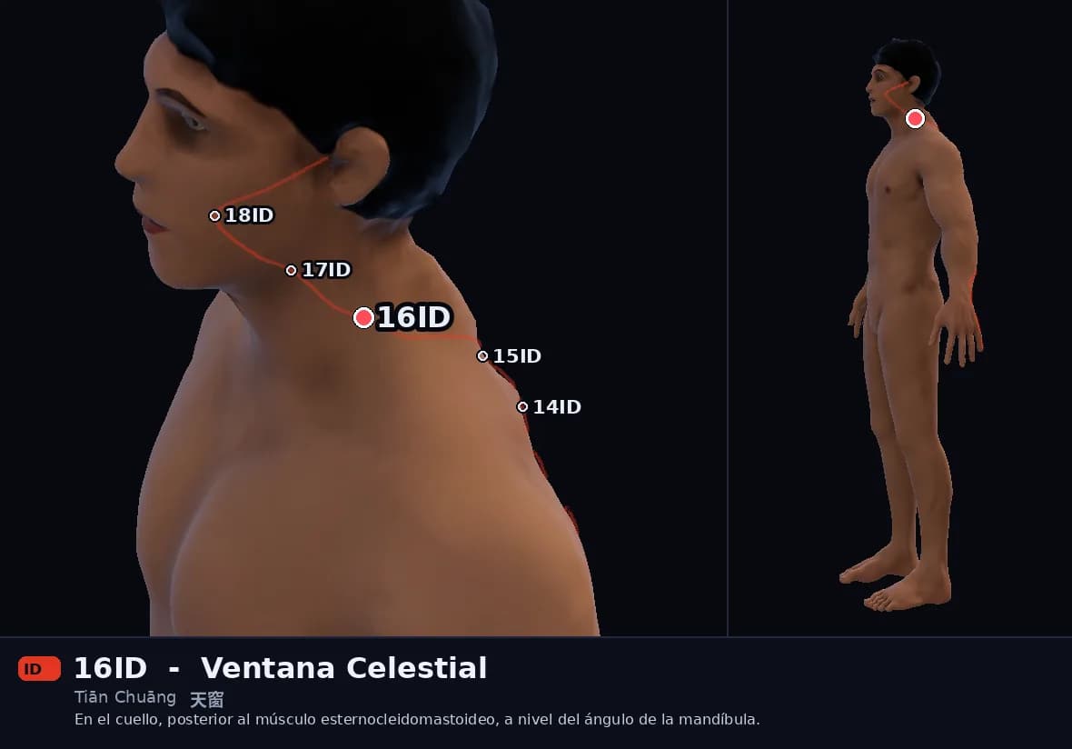 Localización del punto 16ID, Ventana Celestial