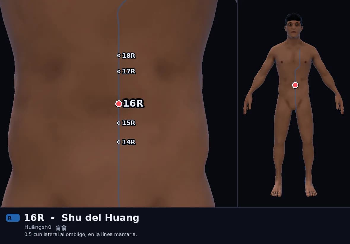 Localización del punto 16R, Shu del Huang