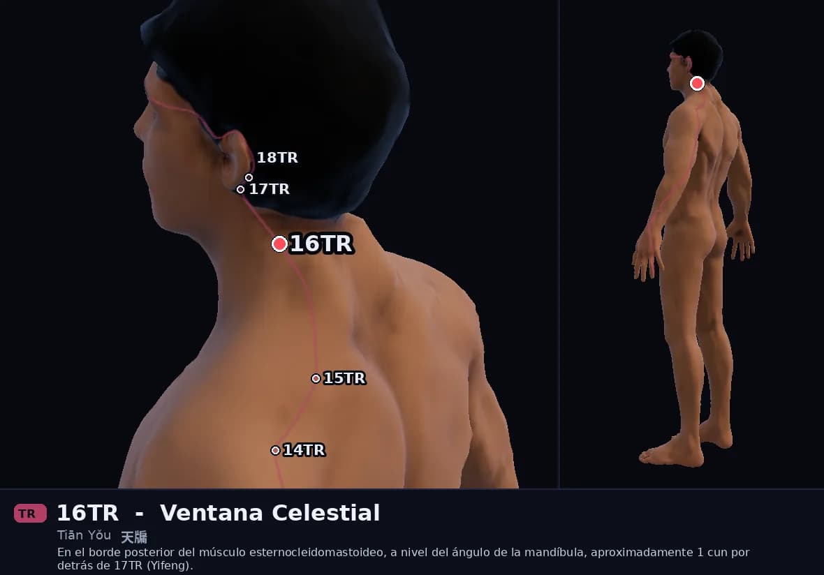 Localización del punto 16TR, Ayuda Celestial