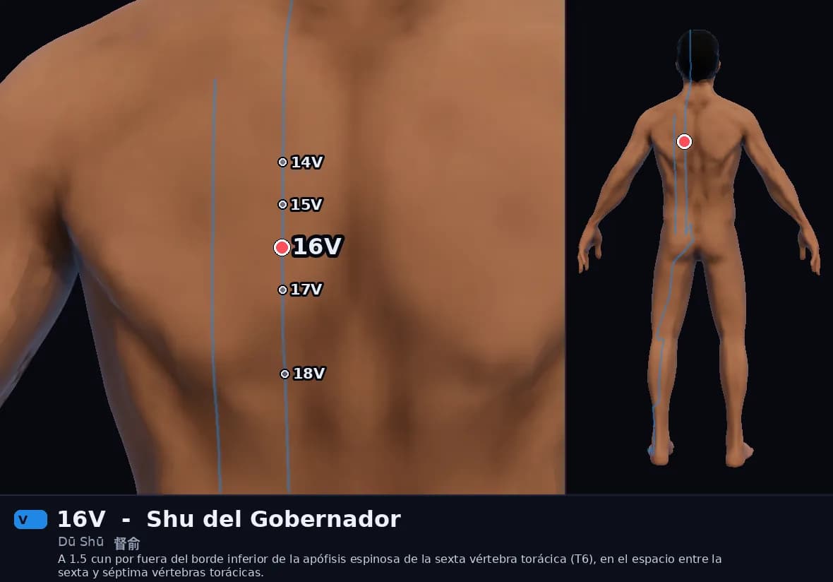 Localización del punto 16V, Shu del Gobernador