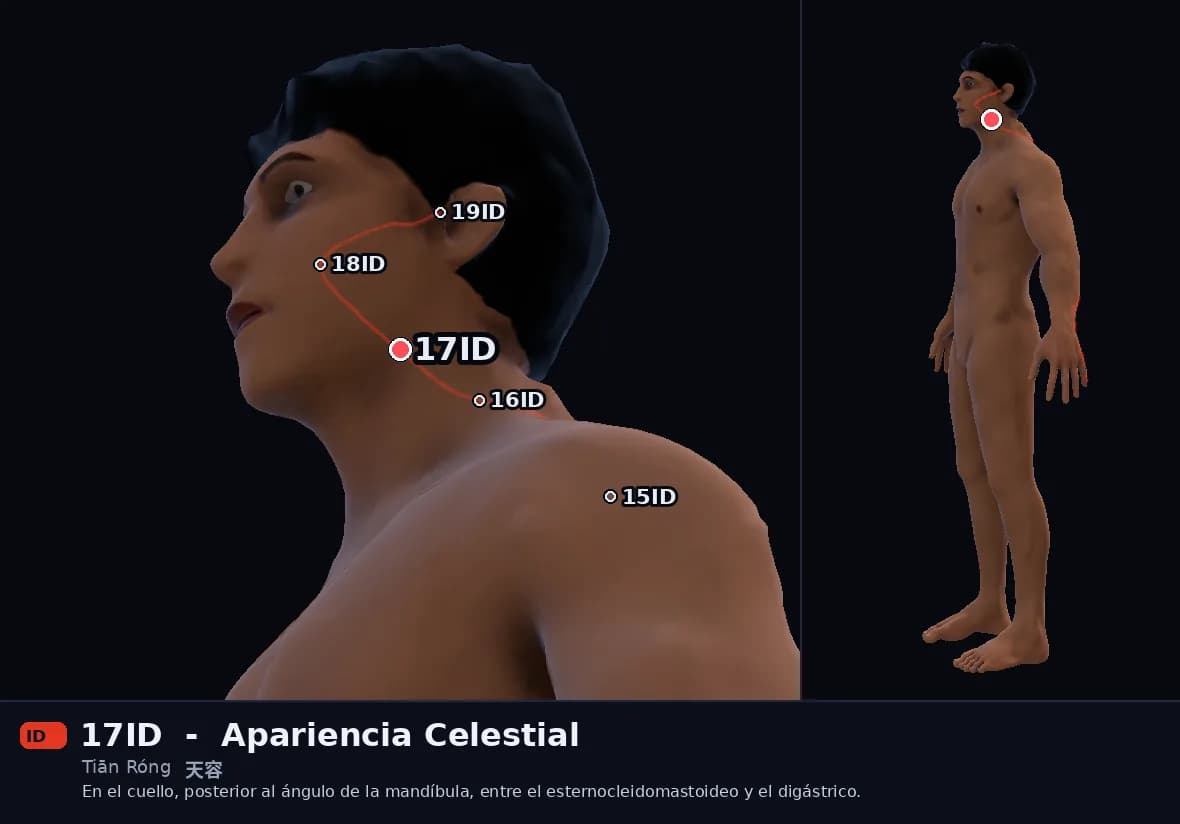 Localización del punto 17ID, Apariencia Celestial