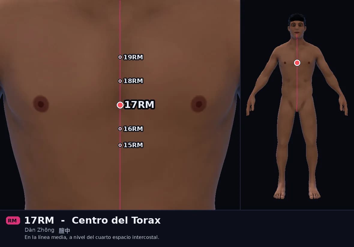 Localización del punto 17RM, Centro del Torax