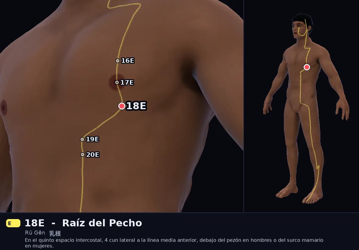 Localización del punto 18E, Raíz del Pecho