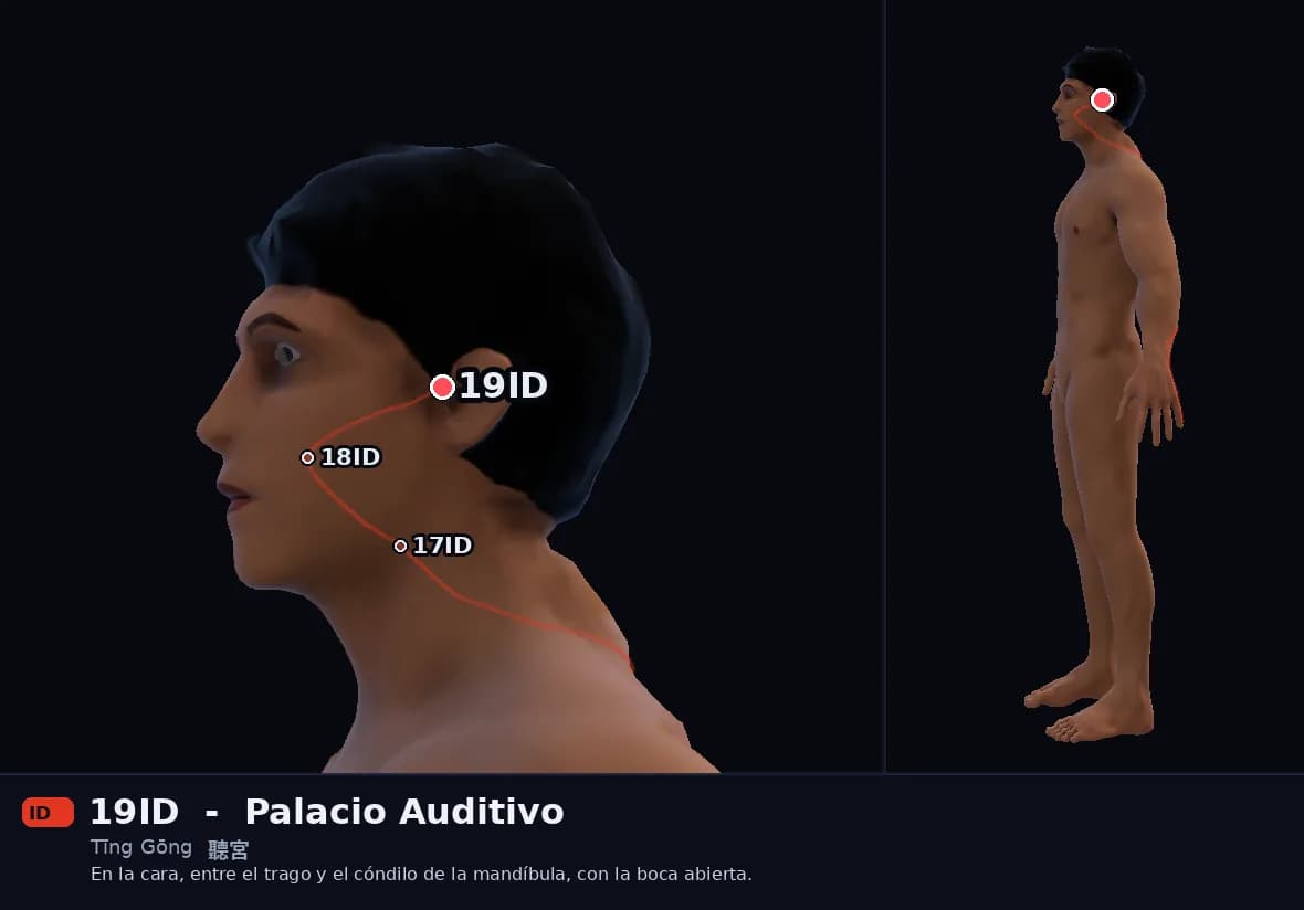 Localización del punto 19ID, Palacio Auditivo