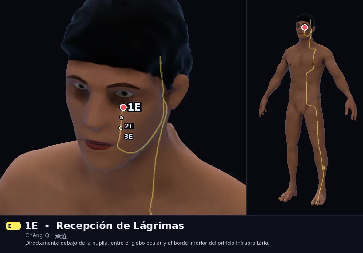 Localización del punto 1E, Recepción de Lágrimas