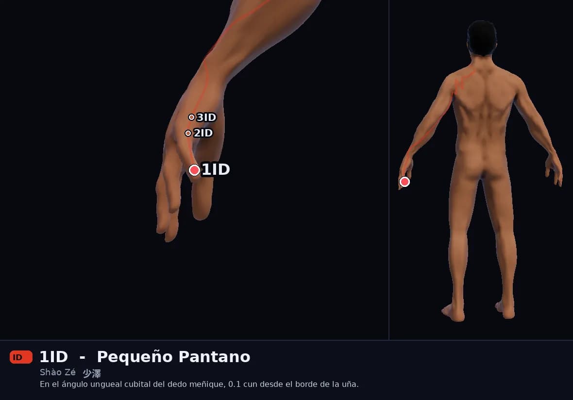 Localización del punto 1ID, Pequeño Pantano