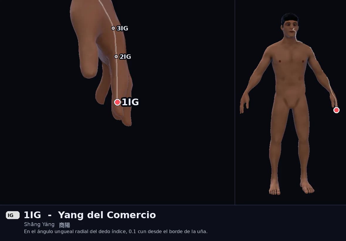 Localización del punto 1IG, Yang del Comercio