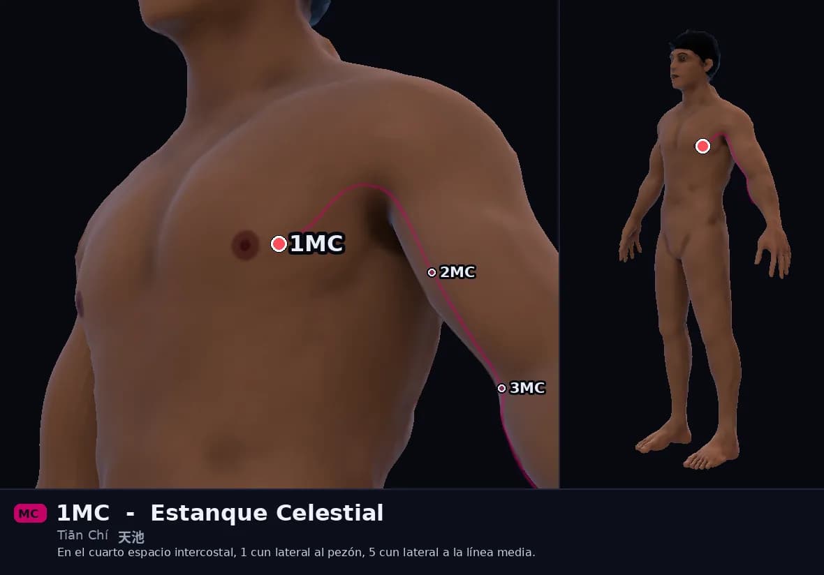 Localización del punto 1MC, Estanque Celestial